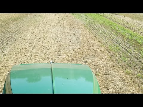 This Is God's Country