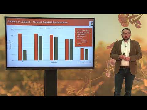 Maisaussaat: Egal was kommt − so sichern Sie Erträge im Mais