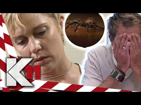 Deadly spider hunt: Alex's life is in danger, the countdown is on! | 2/2 | K11 - The New Cases | ...
