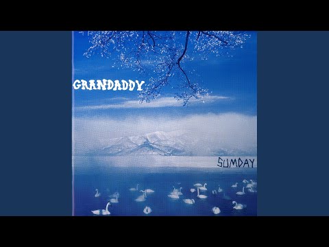 The Go in the Go-For-It - Grandaddy