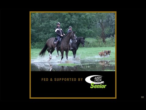Carl Hester & Alan Davies riding Valegro & Uthopia