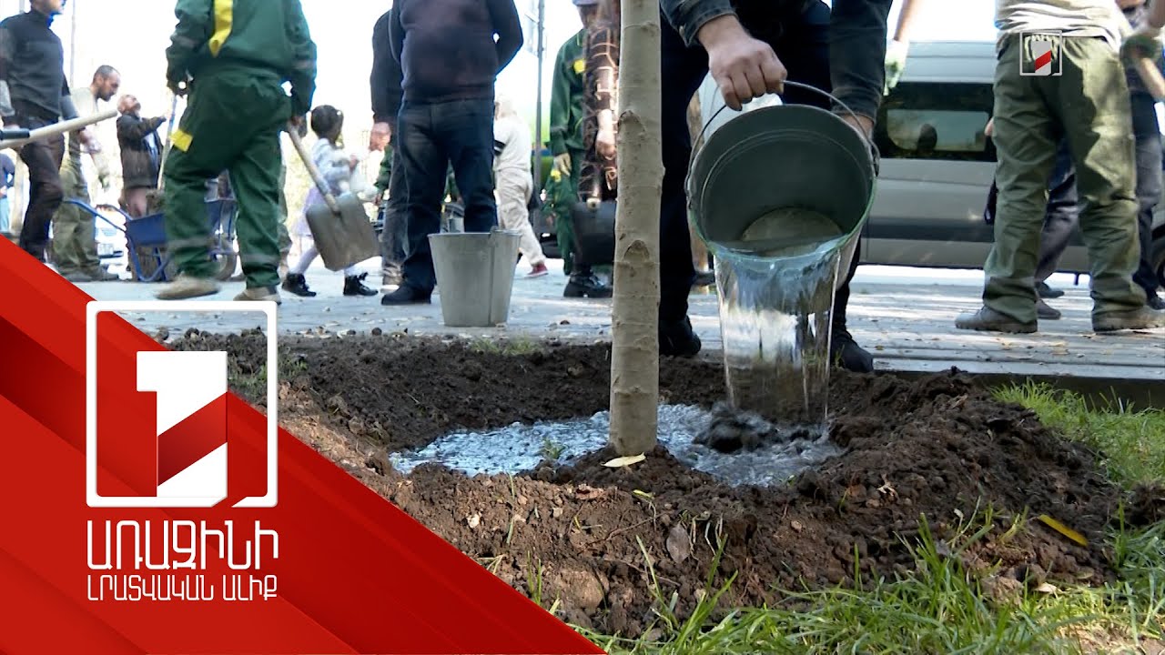 150 մլն դրամ՝ Երևանում 2000 ծառ տնկելու համար