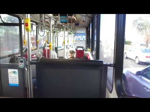 Sydney Bus no. 2181 - M41 to  Macquarie Park