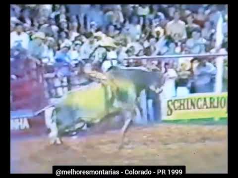🇧🇷 Rogério Ferreira dos Santos x Whisky - Colorado 1999 | Campeão do Rodeio #rodeio #rodeo
