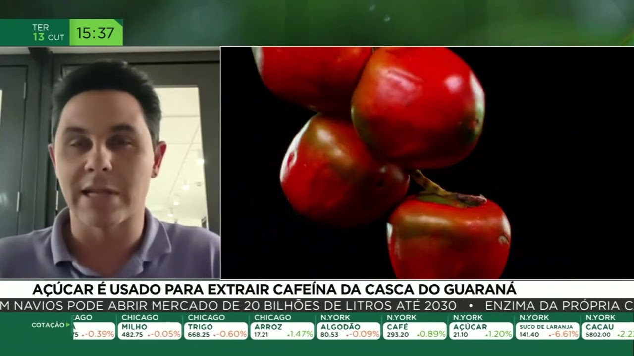 Açúcar é usado para extrair cafeína da casca do guaraná