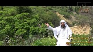 صورة قصة مثل-   الحلقة (16) اعقلها وتوكل