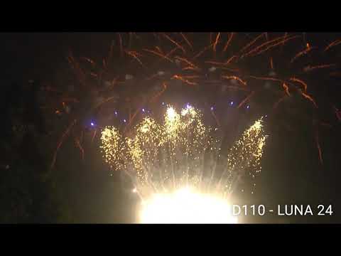 D110   LUNA 24