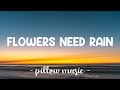 Flowers Need Rain - Preston Pablo, Banx & Ranx (Lyrics) 🎵