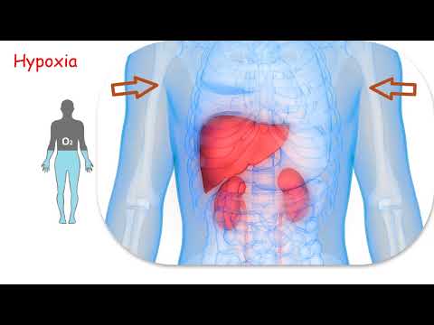 INJEÇÕES DE ERITROPOIETIN (EPO) E CÂNCER. QUAL É A LIGAÇÃO?