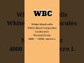WBC/White Blood cells#WBCs#Laboratory#hematology#clinical#medical#medicalstudentdream#LT#technician