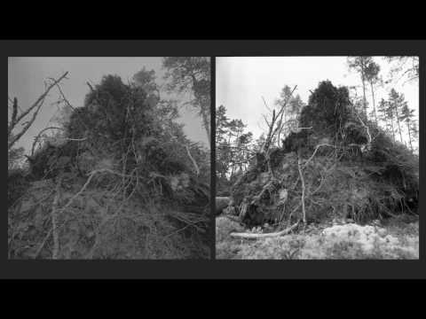 The Magical Forest – Sinikka Langeland | ECM Records