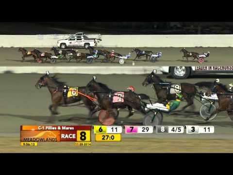 Meadowlands November 28, 2014 - Race 8 - That Woman Hanover
