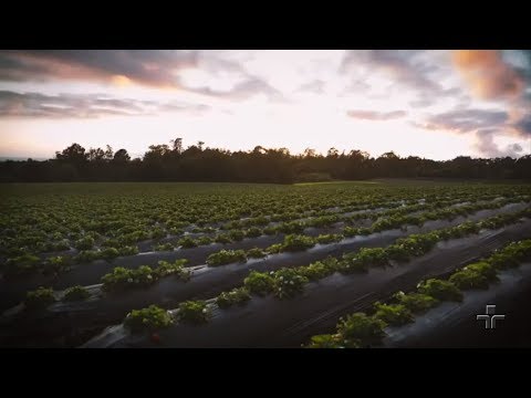 Repórter Eco | 08/07/2018