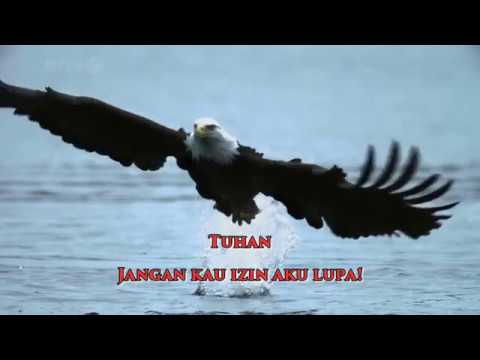 Fynn Jamal - Terbang Tunduk (lyric)