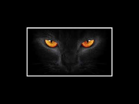 [FREE] Travis Scott Type Beat x Wondagurl Type Beat - "Jaguar"