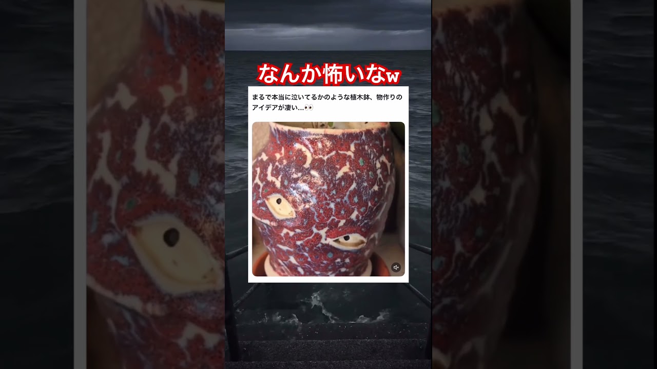 センスはえぐいと思う #shorts#tiktok#Twitter#おもしろ#お笑い#おすすめ#花瓶 #面白い#おもしろ動画#爆笑#バズれ