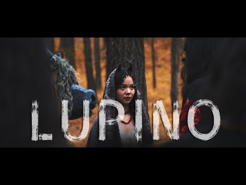 The GALTMAH - LUPINO