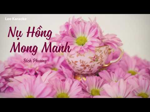 [Karaoke] Nụ Hồng Mong Manh - Bích Phương [Beat Chuẩn]