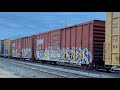 NS V24 With Old Box Cars