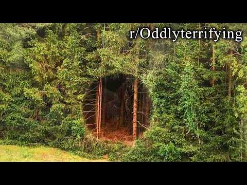 oddly terrifying reddit