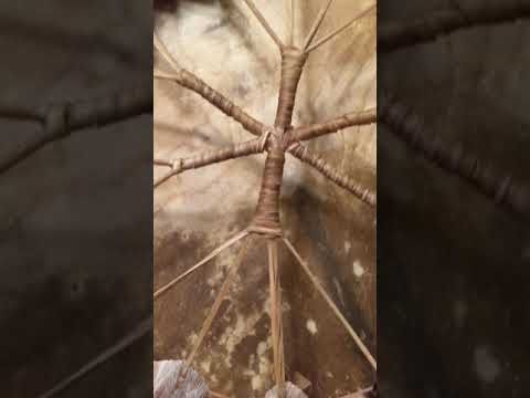 18” goat hide frame drum sound clip