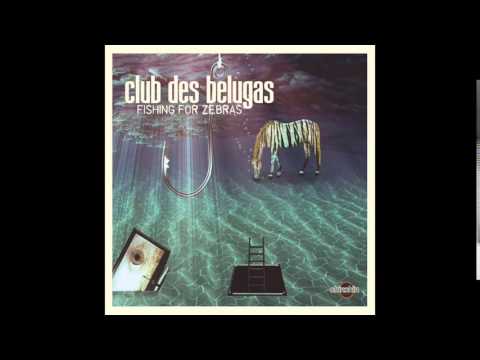 Club des Belugas ft. Harcsa Veronika - Hug Somebody but You