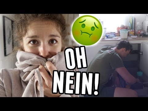 Das hat in unserem Schrank gelebt... - Vlog 58
