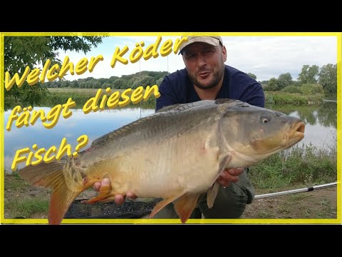 Angeln am Fluss welcher Köder fängt besser #Ködervergleich