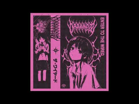 DΛRKNΣSS - ENTER TO THE WIRED (barber beats / vaporwave)