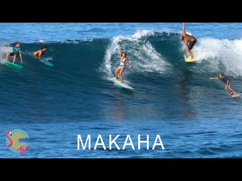 Fun surf and solid waves at Makaha Point