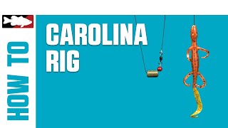 How-To Rig a Carolina Rig