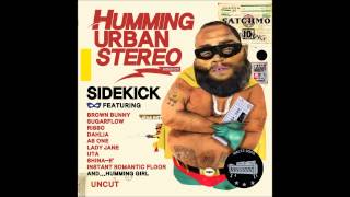 HUMMING URBAN STEREO - &quot;LOVE TREATMENT&quot;(BANJAX REMIX) with Lady Jane