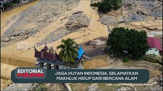 Jaga Hutan Indonesia, Selamatkan Makhluk Hidup Dari Bencana Alam - Editorial Parlemen