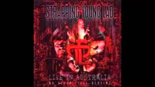 In the Rainy Season - Strapping Young Lad