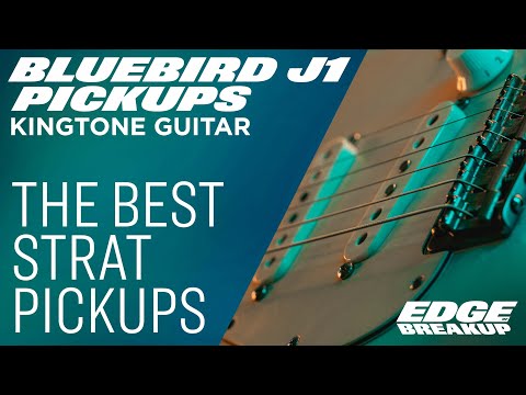 Kingtone Bluebird J1 Pickups — Jesse Davey