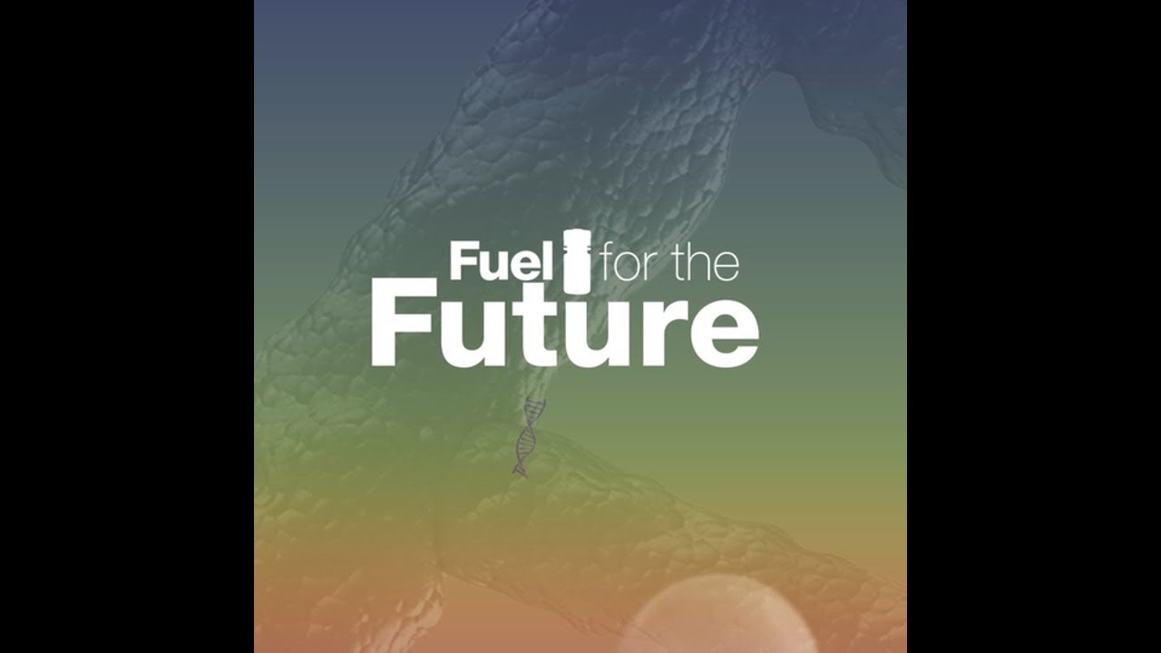 Optimizing real-time PCR performance | Fuel for the Future