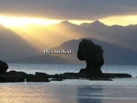 2025.. nei mokai by Paul and Tai