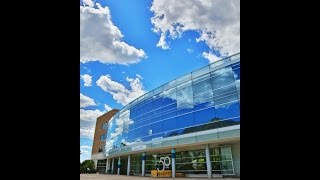 "Dream Life" by Leeham Wang - BYU Chinese STARTALK 2016