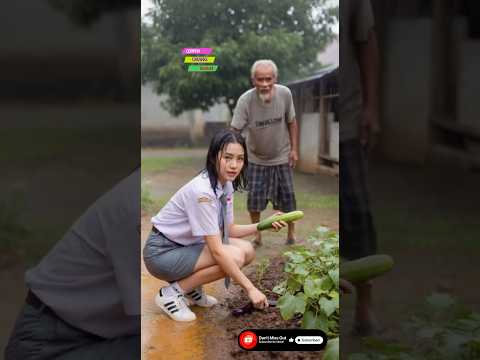 She took it without asking first! heavy rain in village life #fyp #heavyrain #rainyday