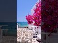 Greece Is Lobe ️ Greece Whatsapp Status Video Greece Mykonos Santorini Europe Sunset