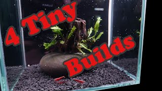 4 micro aquascapes in one video