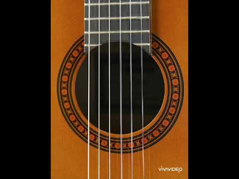 Tia t'koa -  Tovo J'hay (Cover)