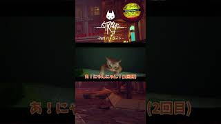 【Stray】かわいい猫ちゃんに限界化してるアラサー　#shorts