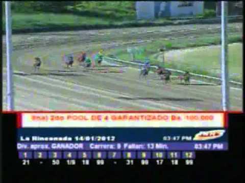 Resumen Sabado, 14 de Enero de 2012 - La Rinconada