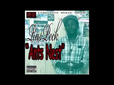 ANTS NEST (RasPeck)