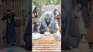 Download lagu MAK LAMPIR MAKAN BAKSO PARODI MAK LAMPIR 2023 mp3 Download lagu MAK LAMPIR MAKAN BAKSO PARODI MAK LAMPIR 2023 mp3