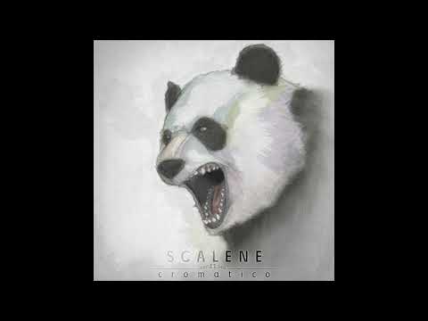Quadro Renovado - Scalene