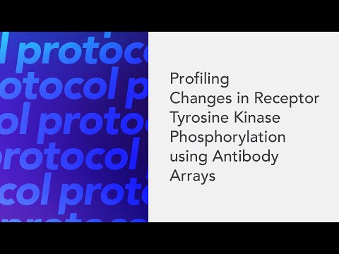 Profiling Changes in Receptor Tyrosine Kinase Phosphorylation using Antibody Arrays