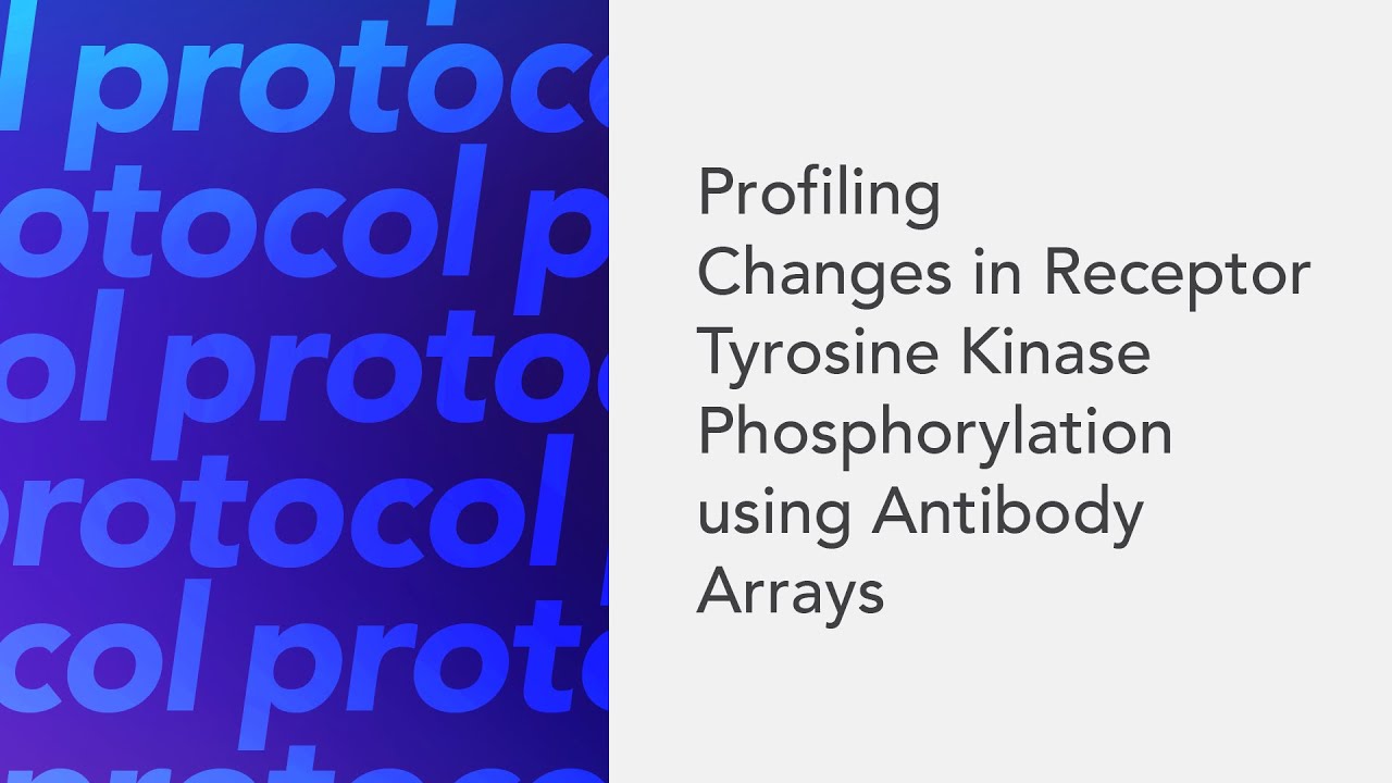 Profiling Changes in Receptor Tyrosine Kinase Phosphorylation using Antibody Arrays