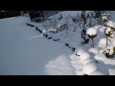 POWRÓT LĘHITÓW Lechosław Tadeusz Pietruszka muz i wyk: Cezary Stawski - Vedamir ( 500 )